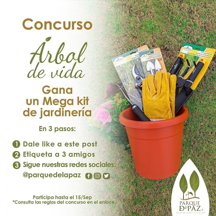 Concurso “Árbol de vida”