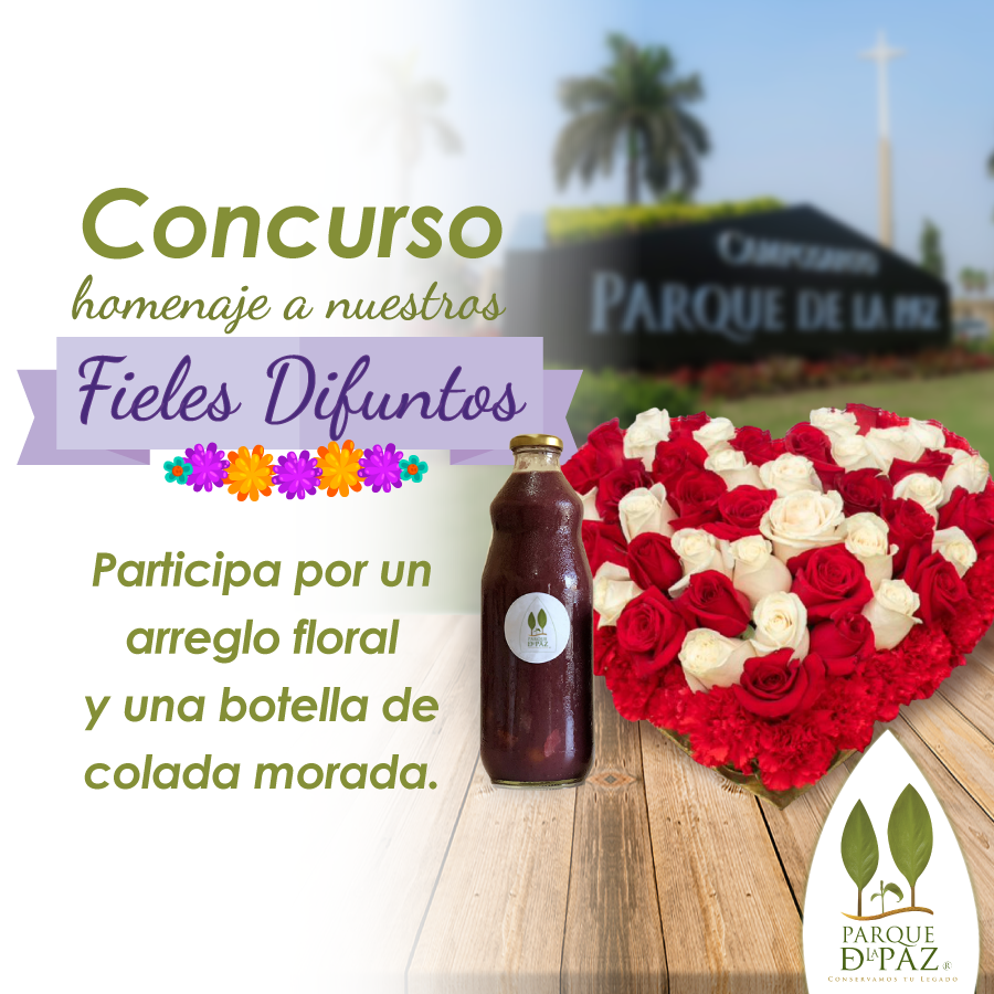 REGLAS DEL CONCURSO