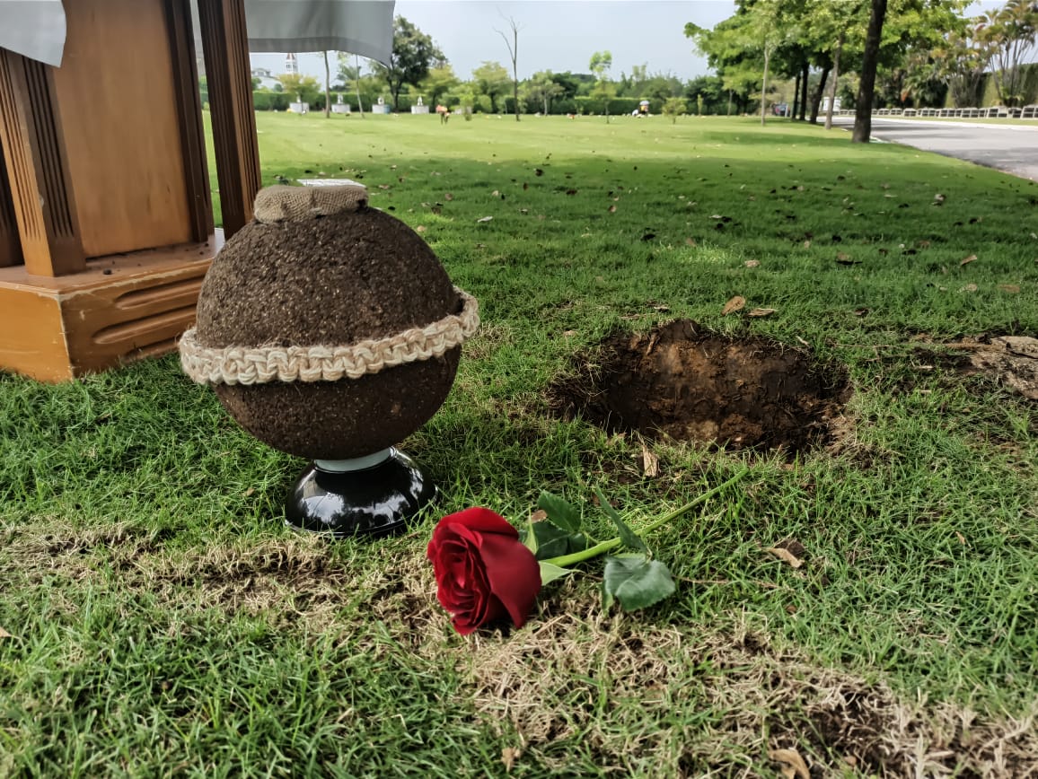 Árbol de Vida